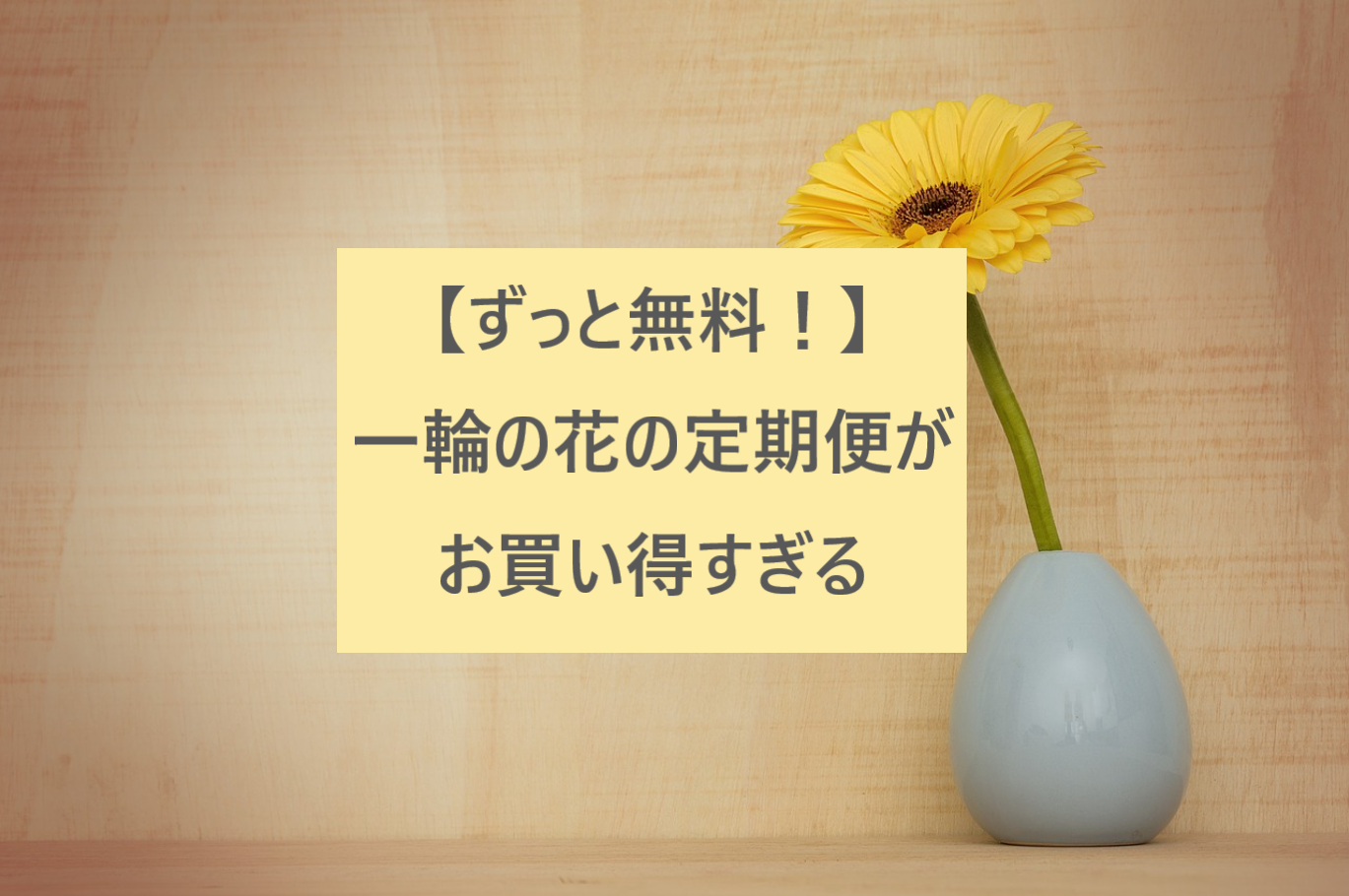 ずっと無料 一輪の花の定期便がお買い得すぎる 花そうネット