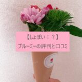 【しょぼい！？】ブルーミー（旧ブルーミーライフ）の評判と口コミ