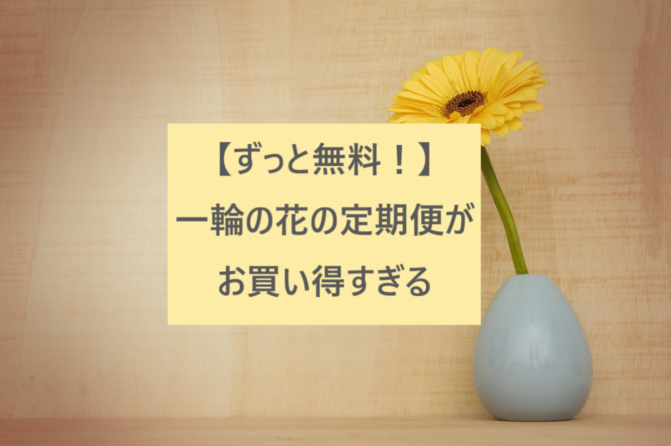 【ずっと無料！】一輪の花の定期便がお買い得すぎる