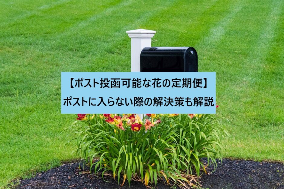 ポスト投函可能な花の定期便 ポストに入らない際の解決策も解説 花そうネット