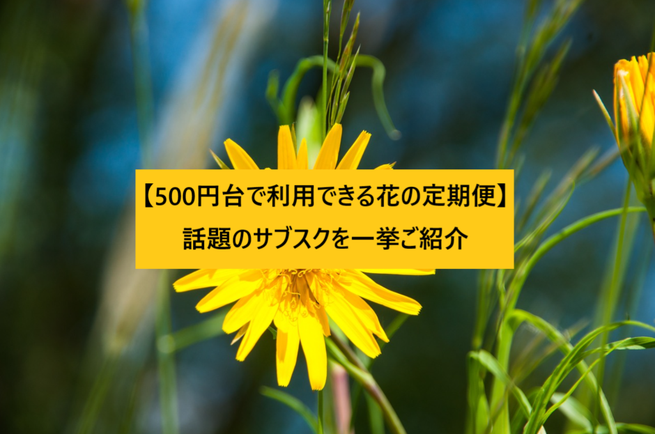 【500円台で利用できる花の定期便】話題のサブスクを一挙ご紹介