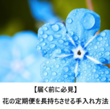 【届く前に必見】花の定期便を長持ちさせる手入れ方法