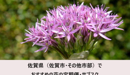 佐賀県（佐賀市・その他市部）でおすすめの花の定期便・サブスク