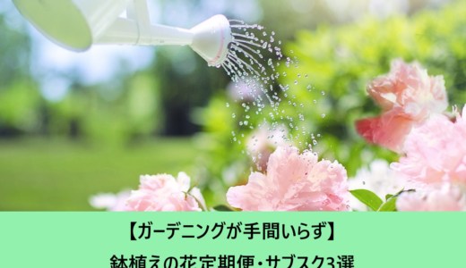 【ガーデニングが手間いらず】鉢植えの花定期便・サブスク3選