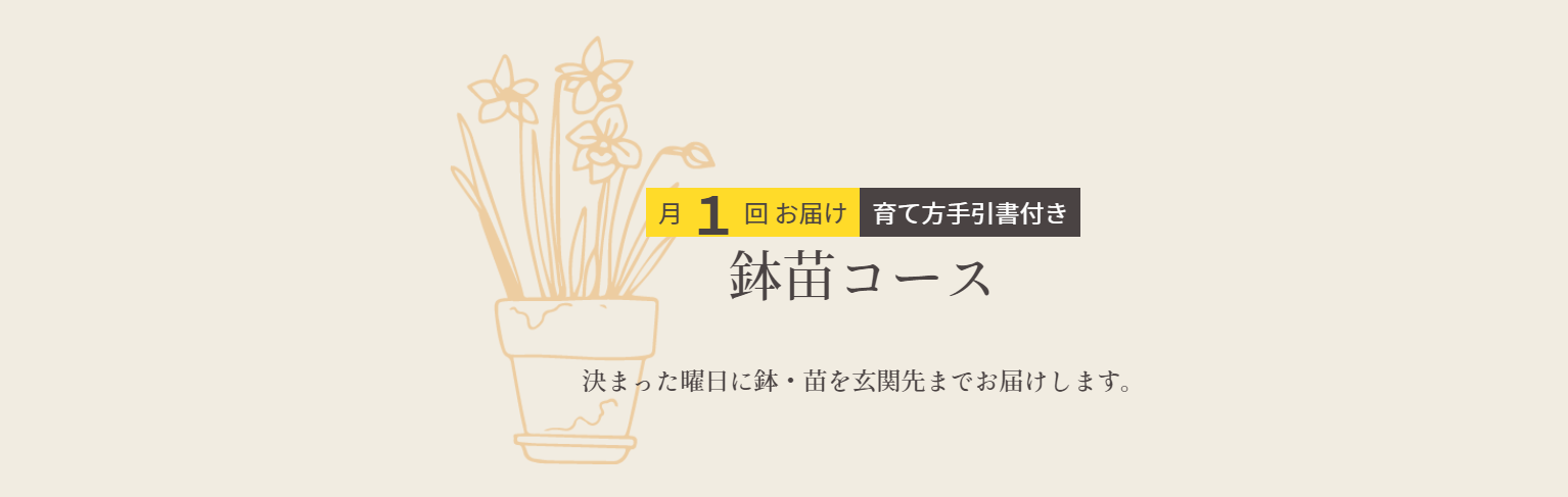 鉢植えの定期便：日本総合園芸