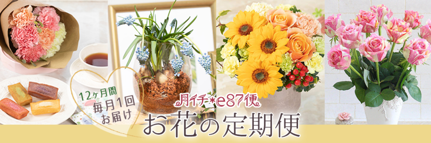 鉢植えの定期便：e87.com（イイハナドットコム）