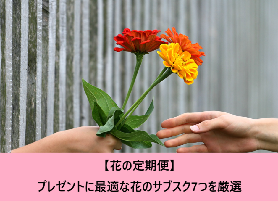 【花の定期便】プレゼントに最適な花のサブスク7つを厳選