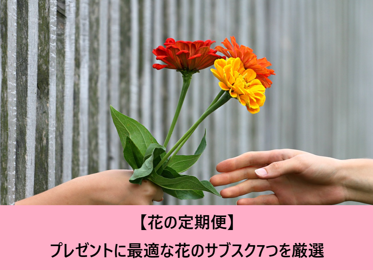 花の定期便 プレゼントに最適な花のサブスク7つを厳選 花そうネット