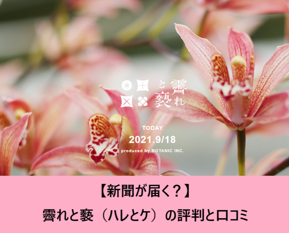 【新聞が届く？】霽れと褻（ハレとケ）の評判と口コミを分かりやすく解説