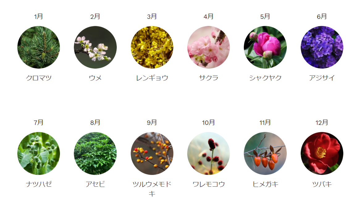 旬の野山の花材が届く